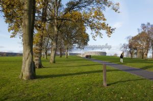 battle bannockburn 4.jpg